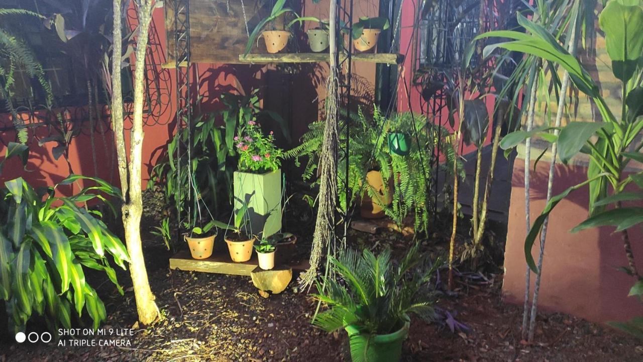Apart Del Huesped I Puerto Iguazú Kültér fotó